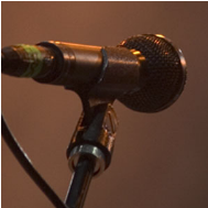 Mark Begelman Microphone